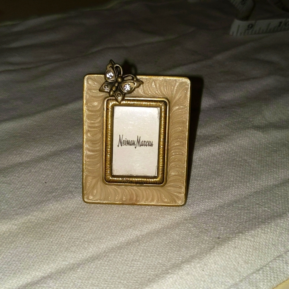 Mini Jay Strongwater frame
